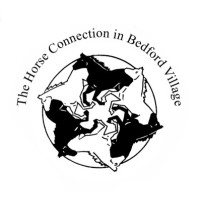 The Horse Connection In Bedford Village