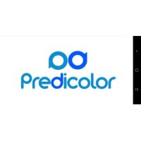 Predicor Pinturas Industriais E Prediais Ltda.