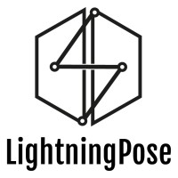 LightningPose logo - Similar company to Business Outcome Gmbh & Co. Kg