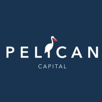Pelican Capital logo - Similar company to Evolve Assess
