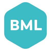 BML Consulting logo - Similar company to Bml Consulting