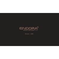 Endora Interiors Decoration logo - Similar company to Zen Interior