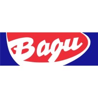 Bagu logo - Similar company to Intercoop Consultoría