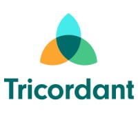 Tricordant - the organisation consultancy logo - Similar company to Reconfig