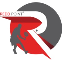 Redd Point logo - Similar company to De Experten