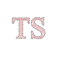 TS Technologies logo - Similar company to Abundance Africa