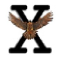 FalconeXt Semiconductor logo - Similar company to Planar Semiconductor
