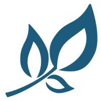 Silver Tree Publishing logo - Similar company to Weaving Dreams