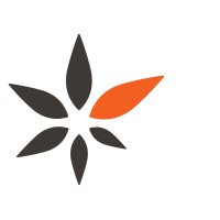 Stellata Energy logo - Similar company to Harbour Infrastructure