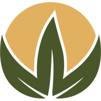 Gearity CPA PLLC logo - Similar company to Olivia Clark Cpa Pllc