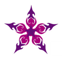 Purple Star Entertainment - India logo - Similar company to Digi Creators