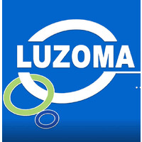 Luzoma Microsystems logo - Similar company to 1133Academy