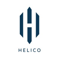 HELICO ADVISORS logo - Similar company to Blackbird Technology Ventures, Inc