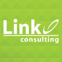 Link Consulting Services (LinkCS) logo - Similar company to Link Consulting Sas