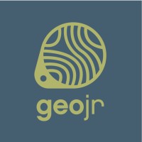 Geo Júnior Consultoria
