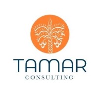 Tamar Consulting logo - Similar company to 404Learning