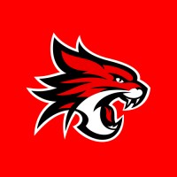 Perth Wildcats logo - Similar company to Dronesec
