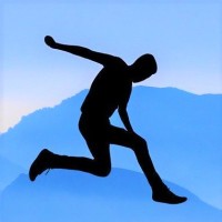 Leap bv logo - Similar company to Stichting Robin