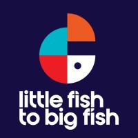 Little Fish to BIG Fish logo - Similar company to Vibrant Insights