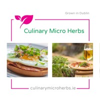 Culinary Microherbs logo - Similar company to Human Element