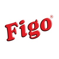 Figo India logo - Similar company to Datagami