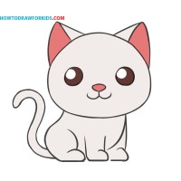 Animora logo - Similar company to Animora