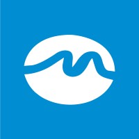 Metaveiro - Segurança e Telecomunicações logo - Similar company to Matriz Flamejante, Lda.