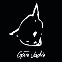 Gato Vadio Films logo - Similar company to Espí Media Com