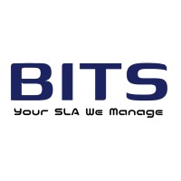 Brilliance IT Services Pvt Ltd logo - Similar company to Wise Pause