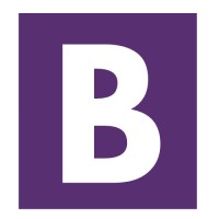Bezwaartegenverkeersboetes.nl logo - Similar company to Adviesbureau Skandara