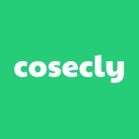 cosecly logo - Similar company to Digital Nomadic Audit & Accounting Services