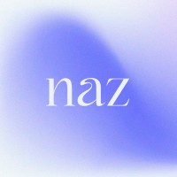 Naz Design Co. LLC logo - Similar company to Scale Agile Solutions