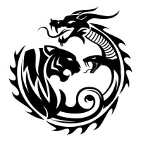 Chimera Software Development LLP logo - Similar company to Mazlo Software Development