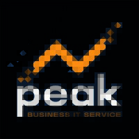peak - business IT service logo - Similar company to Axio Data Gmbh