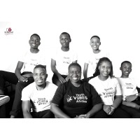Youth Vibes Afrika Consultancy logo - Similar company to The Provocation People