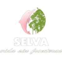 I am Selva logo - Similar company to Big Creative
