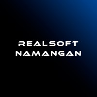 Realsoft Namangan logo - Similar company to Redite