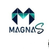 magnaS Engineering Solutions logo - Similar company to Eagle Solars