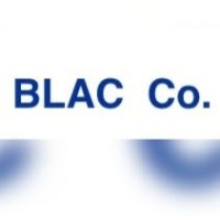 BLAC Co. logo - Similar company to Nine Dimensions Reality