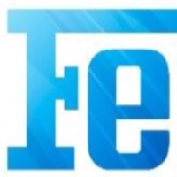 FenixEdge Consulting logo - Similar company to Bench Genius