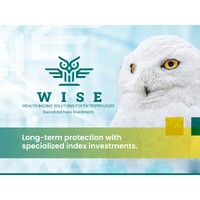 Wealth Income Solutions LLC - WISE Financial Strategies logo - Similar company to Wealth Practice Llc