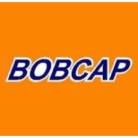 Bobcap, Lda logo - Similar company to Ebs - Efficient Building Solution