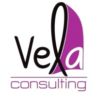 Vela Consulting logo - Similar company to Pune.Al
