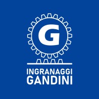 Gandini ingranaggi logo - Similar company to Gulinelli