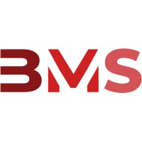 BMS Import Ltd. (BWT, IQAir, TopBrewer in Vietnam, Laos, Cambodia) logo - Similar company to Comercializadora Internacional Bwt
