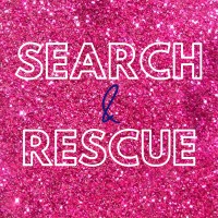 Search & Rescue - Talent Strategy Solutions logo - Similar company to Makers