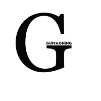 Foshan Chancheng Gumaoning Garment Co., Ltd. logo - Similar company to Wancord Garment Factory Ltd