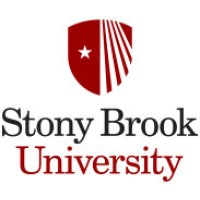 Physics & Astronomy - Stony Brook University logo - Similar company to Science Writing On Demand