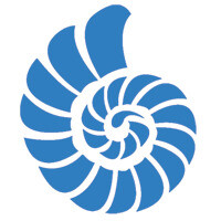 Cshel Search Strategies