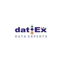 Data Experts (Pvt.) Limited [datEx] logo - Similar company to Data Transfer Security